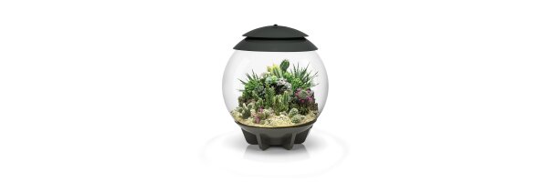 biOrb Air