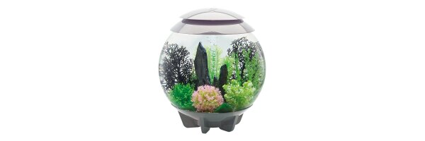 biOrb Halo MCR Aquarien