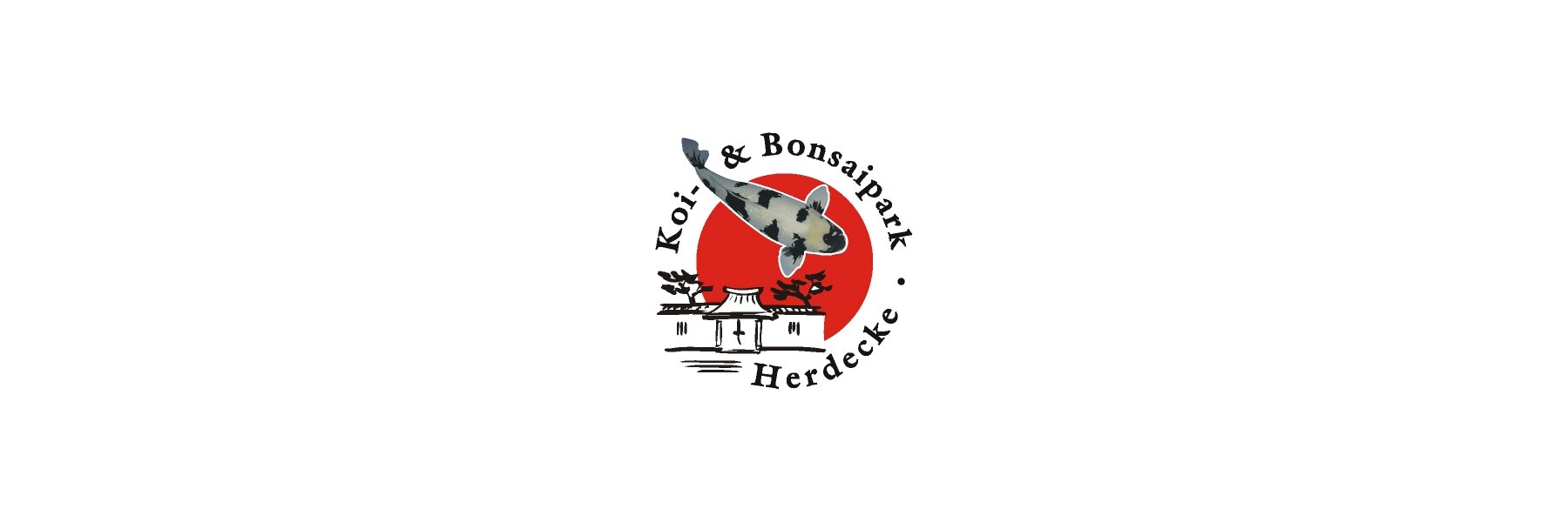 jbs bambus underbukser 6 par sorte JBS underbukser i bambus til herre