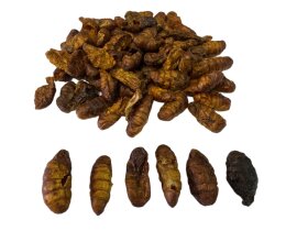 Premium Seidenraupen 1,2 kg getrocknet gesunder Insektensnack für Schildkröten-Fische-Vögel-Reptilien-Nager