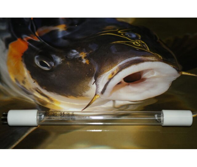 Rota UVC Ersatzlampe 52 Watt Amalgam GPHVA-436-T5L Länge 43 cm Aquariolux