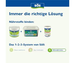 Söll Phosphatentferner 0,5 Kg PhosLock AlgenStopp...
