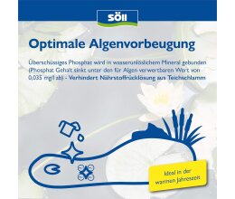 Söll Phosphatentferner 0,5 Kg PhosLock AlgenStopp für 10 Qbm Teichwasser