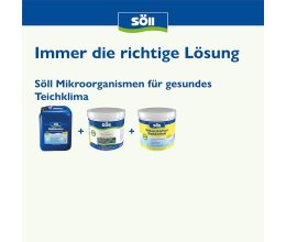 Söll Filterstarter 250 Gr. Filterstarter Bakterien für Teiche
