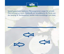 Söll Filterstarter 250 Gr. Filterstarter Bakterien für Teiche