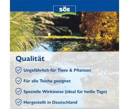 Söll Algenentferner 1 Liter Sommeralgenstop für 20 Qbm Teichwasser