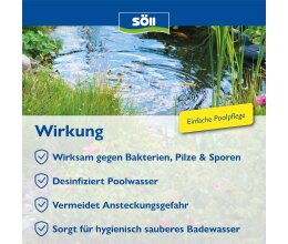 Söll Pool Desinfektion 1 Liter AquaDes  für 10 Qbm
