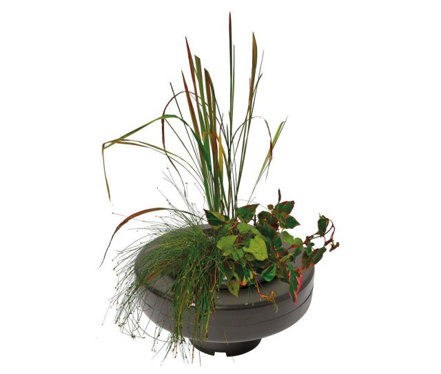 SuperFish schwimmender Teich Pflanzkorb rund Ø 30 cm