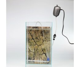 JBL PROAIR a50 Luftpumpe für Aquarien
