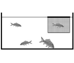 Schwimmendes Inspektionsnetz Quarantänenetz Koi l 120 x b 90 x t 75cm