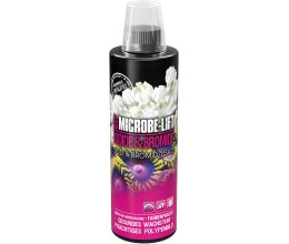 Microbe-Lift Iodide & Bromide - Jod und Bromide erhöhen Meerwasser 3,79 L