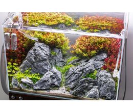 Arka - myScape-Rocks Seiryu 10-30cm 5kg Aquascaping Stene