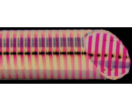 Hochwertiger Teichschlauch 50mm Grün als Saug-/Druckschlauch geeignet stabile Ausführung