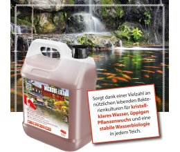 Microbe-Lift Special Blend Pond Klar Wasser Bakterien 3,79 l