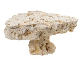 Arka- myReef-Rocks Podest, Sockel ca. 10 - 20 cm, 10 St....