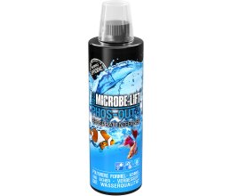 Set - Microbe Lift Wasserpflege Bakterien Special Blend 473 ml/ NOPO Control 473ml