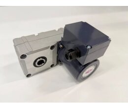 DVS Ersatzantriebsmotor für Trommelfilter...