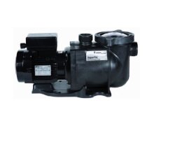 Poolpumpe Pentair Superflo 0,75kW 230V 25 QBM bei 2 Meter Förderhöhe
