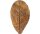 mySCAPE-CATAPPA LEAVES Large Seemandelbaumblätter 10 Stück