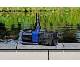AquaForte 12 V Schwimmteichpumpe 20.000LV regelbar