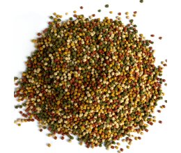 Koi Herdecke Koifutter 4 Sorten Multimix 3mm 5 kg