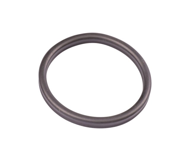 Oase Ersatzteil Ersatzdichtung Vorfilter BioMaster-Außenfilter