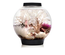 Oase biOrb CLASSIC 15 Liter Aquarium MCR schwarz