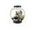 Oase biOrb CLASSIC 15 Liter Aquarium MCR schwarz