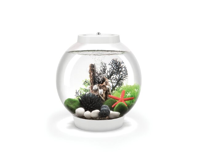 Oase biOrb CLASSIC 15 Liter Aquarium MCR weiß