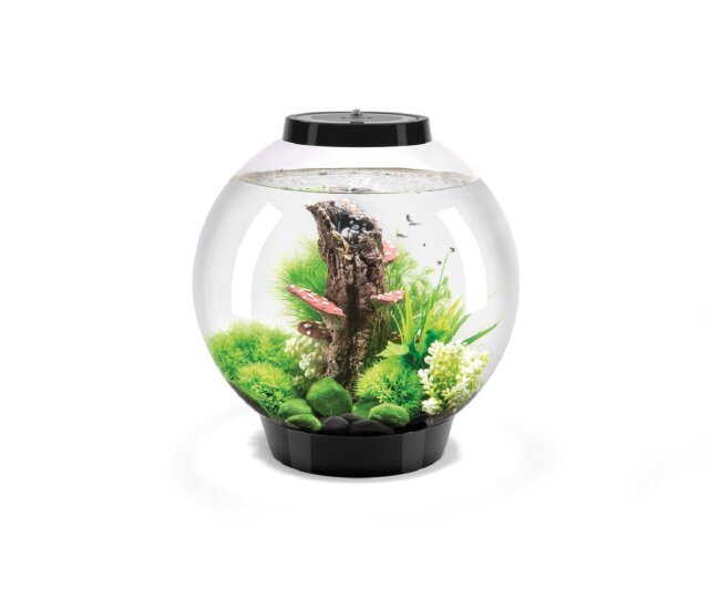 Oase biOrb CLASSIC 30 Liter Aquarium MCR schwarz