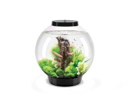 Oase biOrb CLASSIC 30 Liter Aquarium MCR schwarz