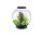 Oase biOrb CLASSIC 30 Liter Aquarium MCR schwarz