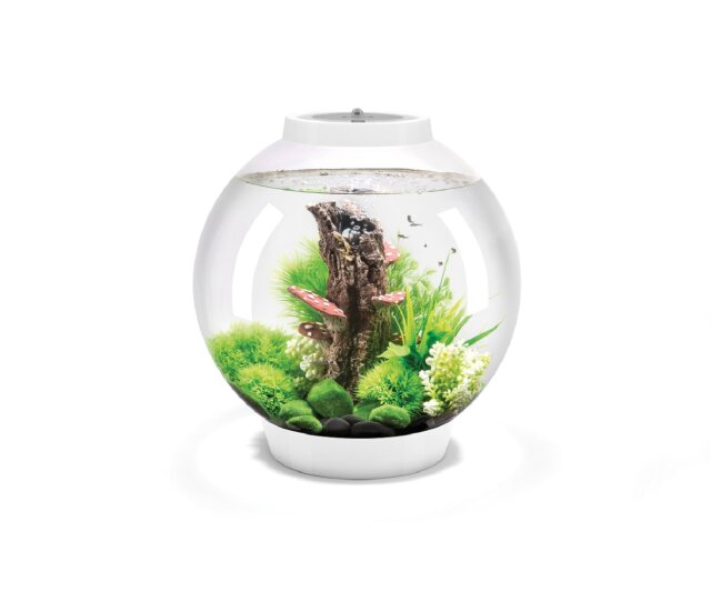 Oase biOrb CLASSIC 30 Liter Aquarium MCR weiß