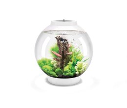 Oase biOrb CLASSIC 30 Liter Aquarium MCR weiß