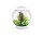 Oase biOrb CLASSIC 30 Liter Aquarium MCR weiß