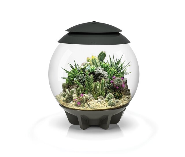 Oase biOrb AIR 30 Liter Aquarium grau