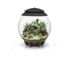 Oase biOrb AIR 30 Liter Aquarium grau