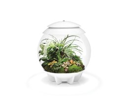 Oase biOrb AIR 30 Liter Aquarium weiß