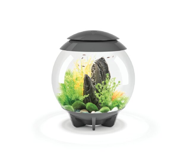 Oase biOrb Halo 30 Liter Aquarium MCR grau