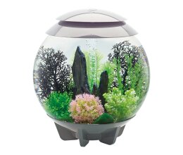Oase biOrb Halo 30 Liter Aquarium MCR grau