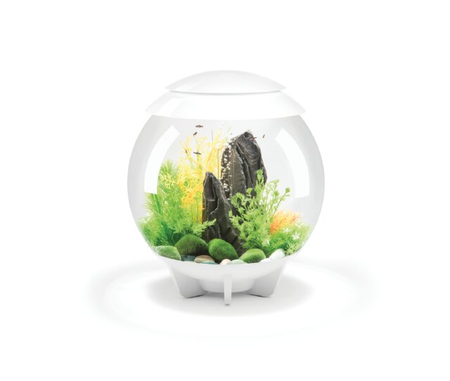 Oase biOrb Halo 30 Liter Aquarium MCR weiß