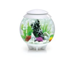 Oase biOrb Halo 30 Liter Aquarium MCR weiß
