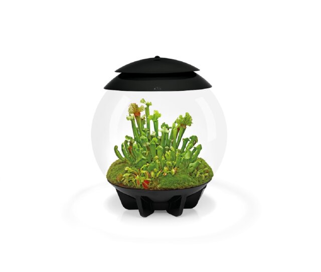 Oase biOrb AIR 30 Liter Aquarium schwarz