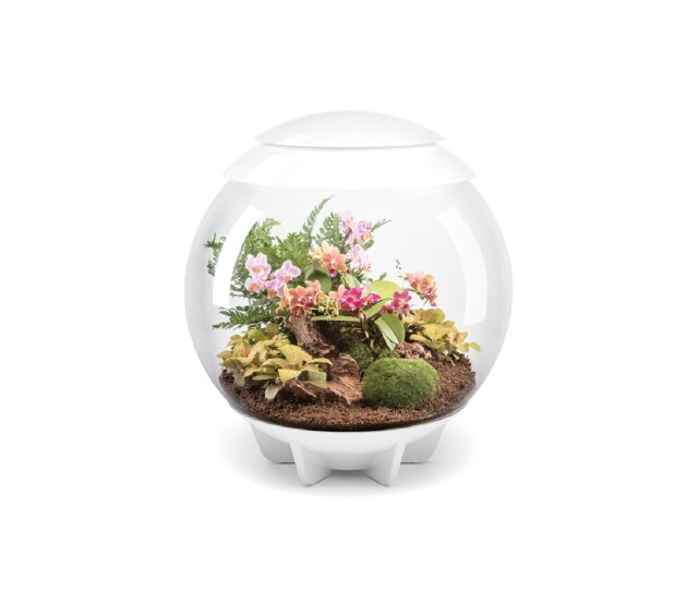 Oase biOrb AIR 60 Liter Aquarium weiß