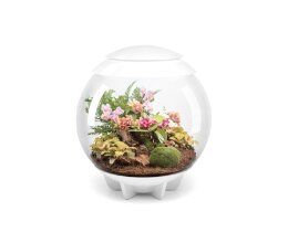 Oase biOrb AIR 60 Liter Aquarium weiß