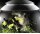 Oase biOrb AIR 60 Liter Aquarium weiß
