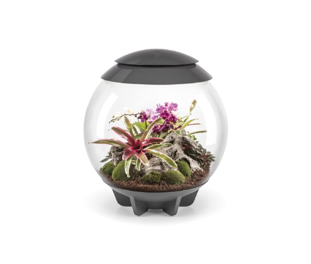 Oase biOrb AIR 60 Liter Aquarium grau