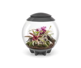 Oase biOrb AIR 60 Liter Aquarium grau