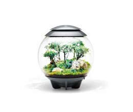 Oase biOrb AIR 60 Liter Aquarium grau