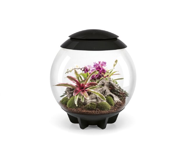 Oase biOrb AIR 60 Liter Aquarium schwarz